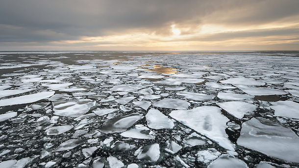 photo : Mark Meyer - Greenpeace