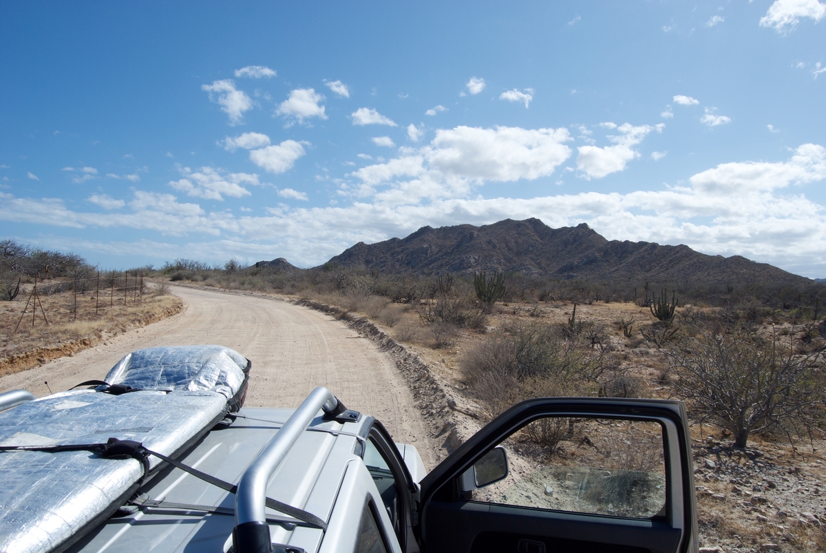 Baja Sur Mexico