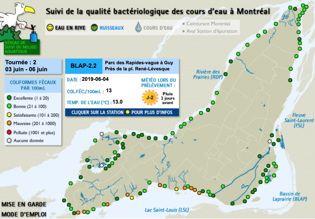 Baigner dans le fleuve Saint-Laurent